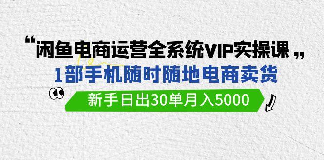 (9547期)闲鱼电商运营全系统VIP实战课，1部手机随时随地卖货，新手日出30单月入5000-GQ头条