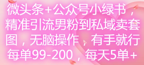 微头条+公众号小绿书，精准引流男粉到私域卖套图，无脑操作，有手就行，每单99-200，每天5单-GQ头条