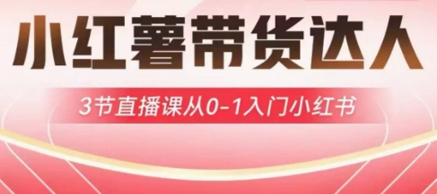 小红薯达人带货启航计划，3节直播课从0-1入门小红书-GQ头条