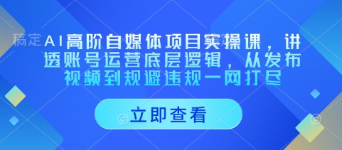 AI高阶自媒体项目实操课，讲透账号运营底层逻辑，从发布视频到规避违规一网打尽-GQ头条
