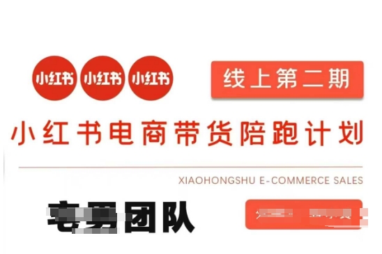 小红书电商带货课2期，月利润20个的小红书电商的有货源，无货源，虚拟产品，付费投流等整套玩法-GQ头条