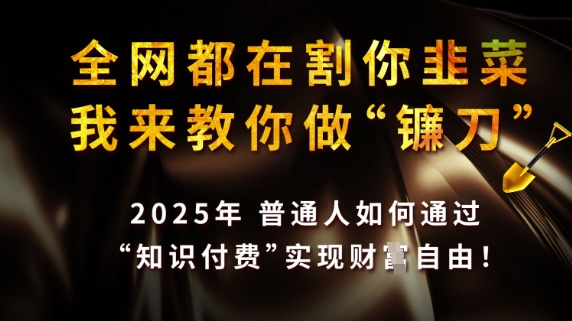 全网都在割你韭菜，我来教你做镰刀，2025普通人如何通过知识付费，实现财F自由【揭秘】-GQ头条